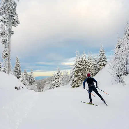 Pension Klein Боденмайс