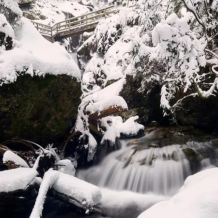 Pension Klein Гостевой дом 3*